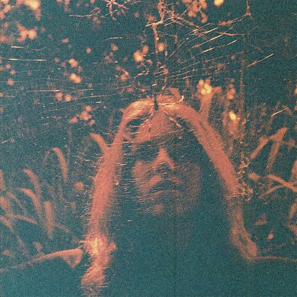 Peripheral Vision cover