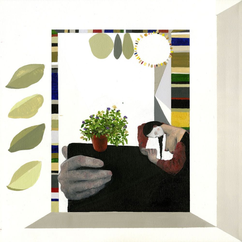 Magnolia cover