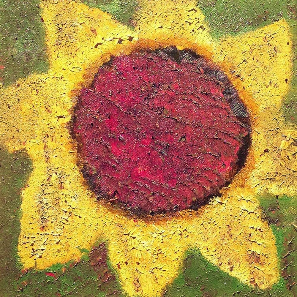 Sunflower cover