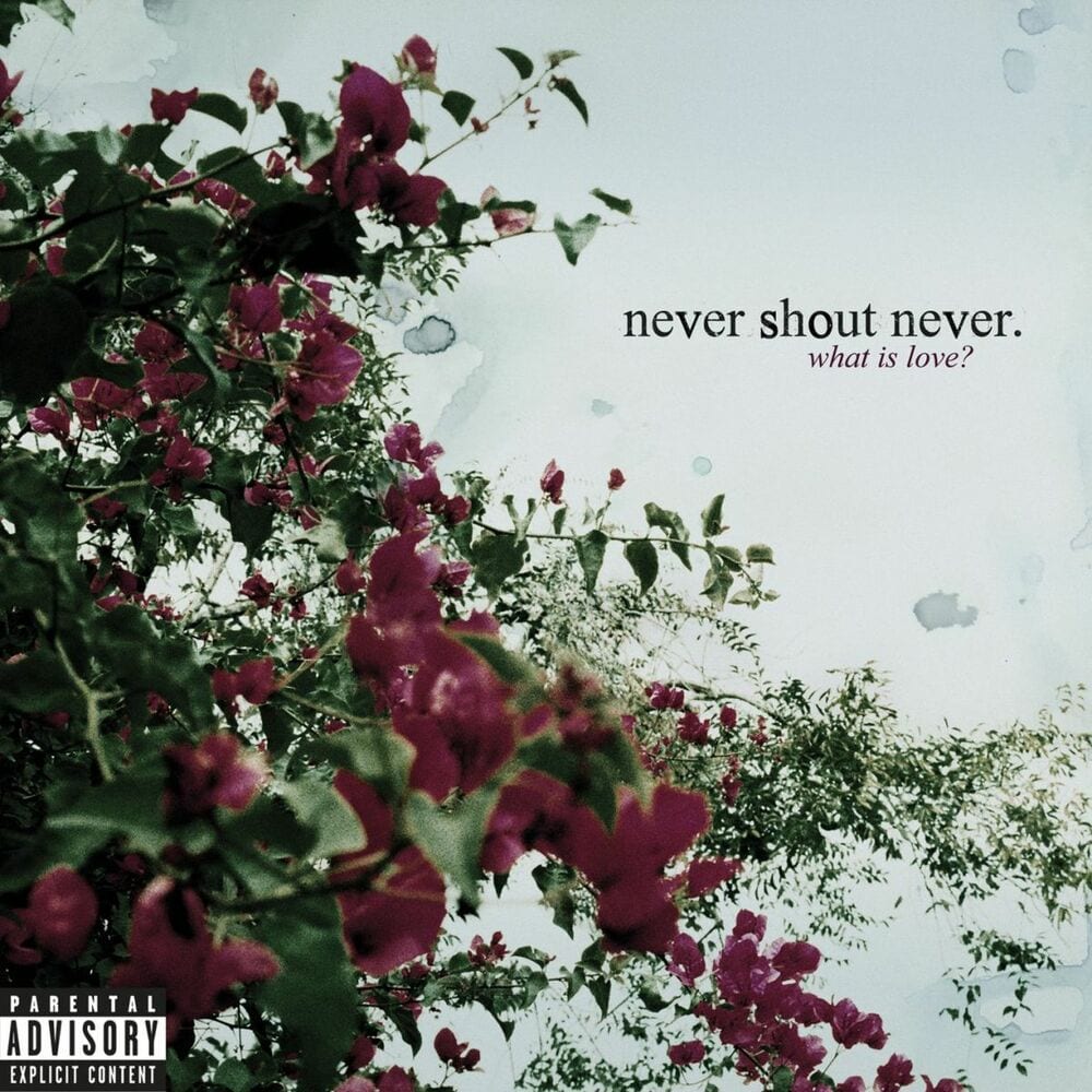 What Is Love cover