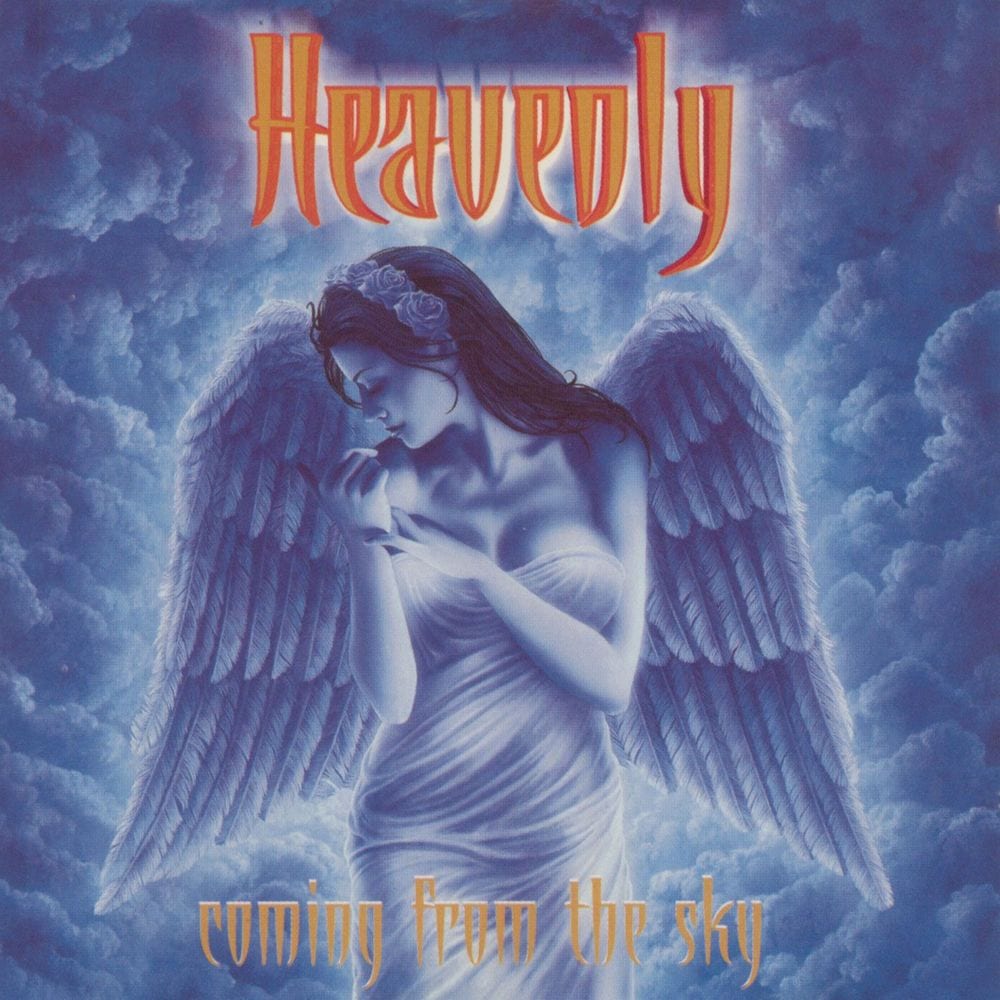 Coming From the Sky cover