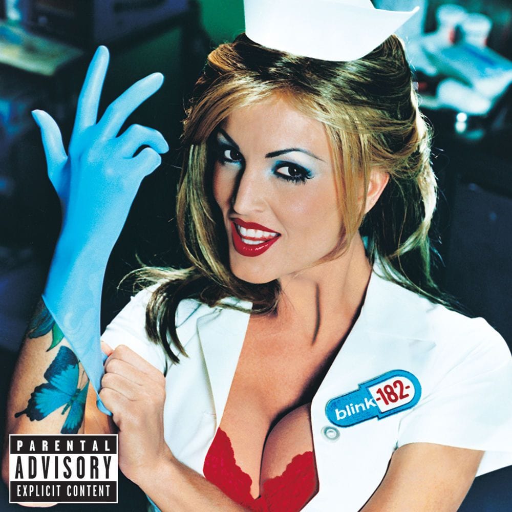 Enema of the State cover