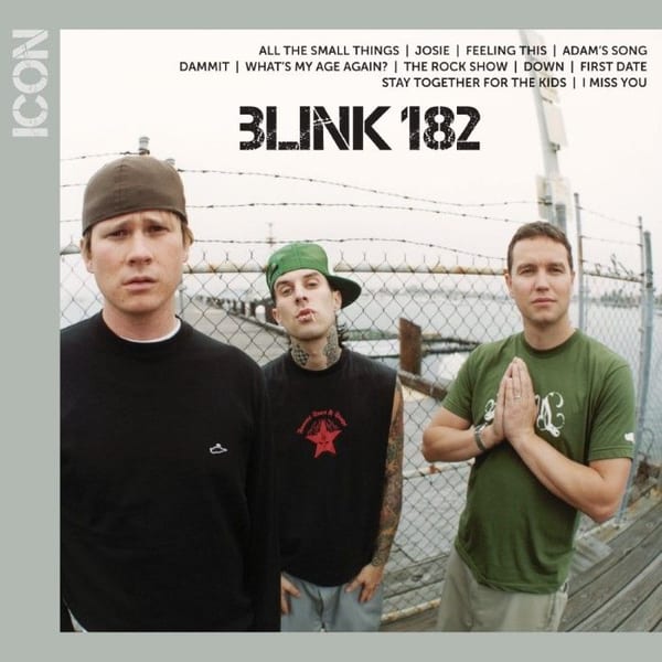 Icon cover