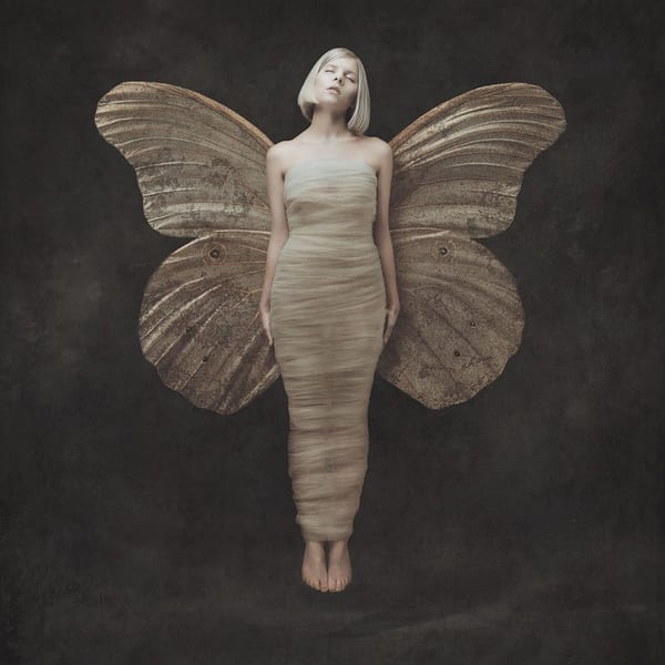 All My Demons Greeting Me As A Friend (Deluxe) cover