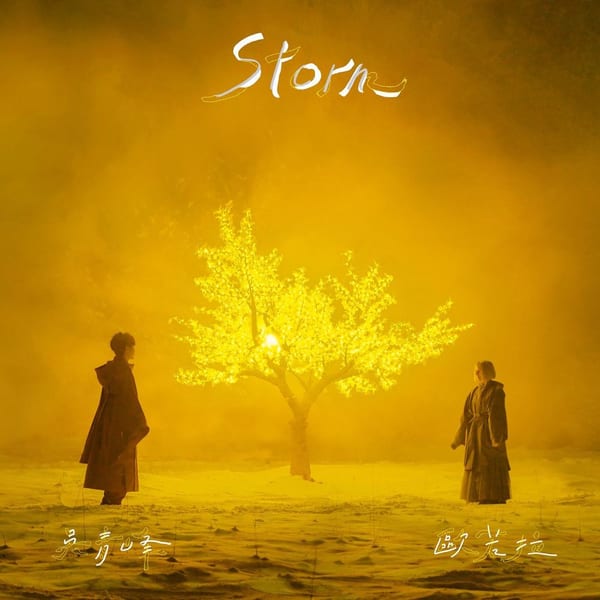 Storm cover