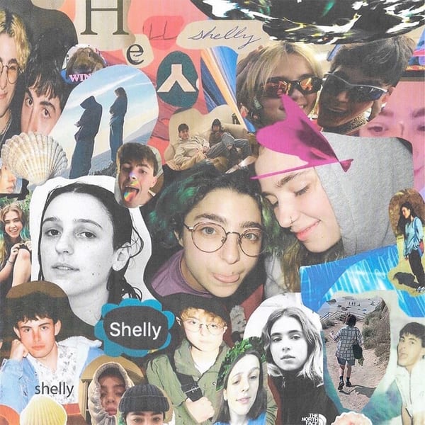 Shelly cover