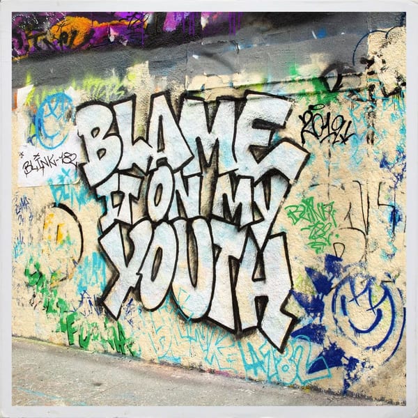 Blame It On My Youth cover