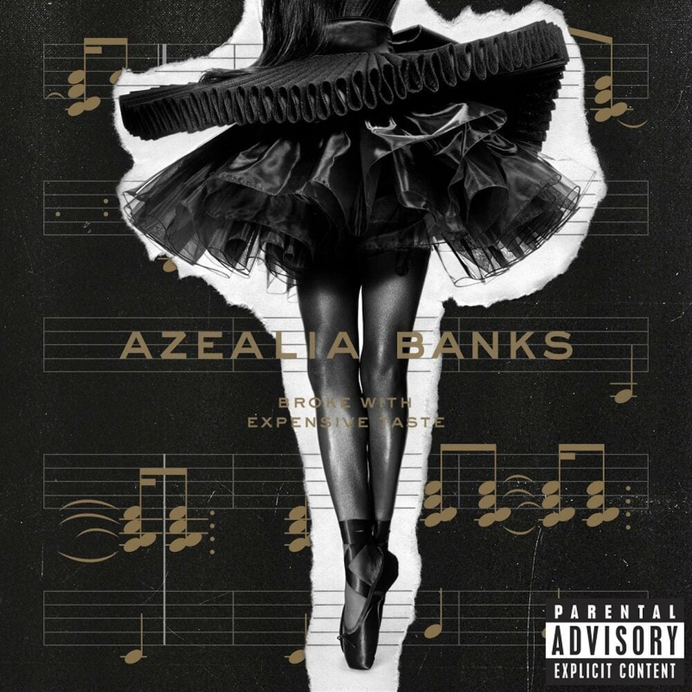 Broke With Expensive Taste cover
