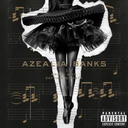 Broke With Expensive Taste album cover