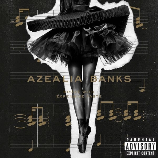 Broke With Expensive Taste cover