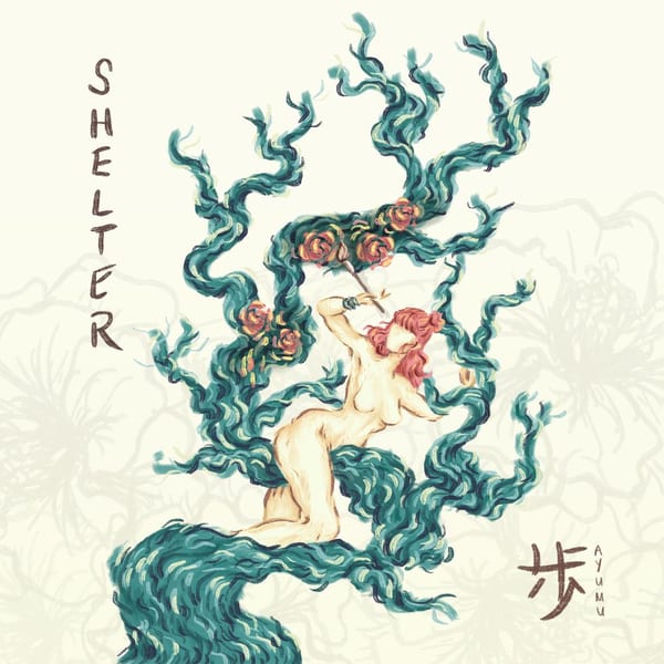 Shelter cover