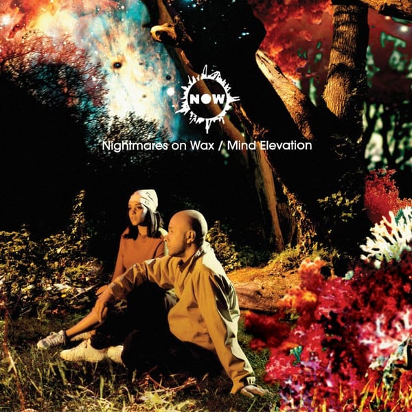 Mind Elevation album cover