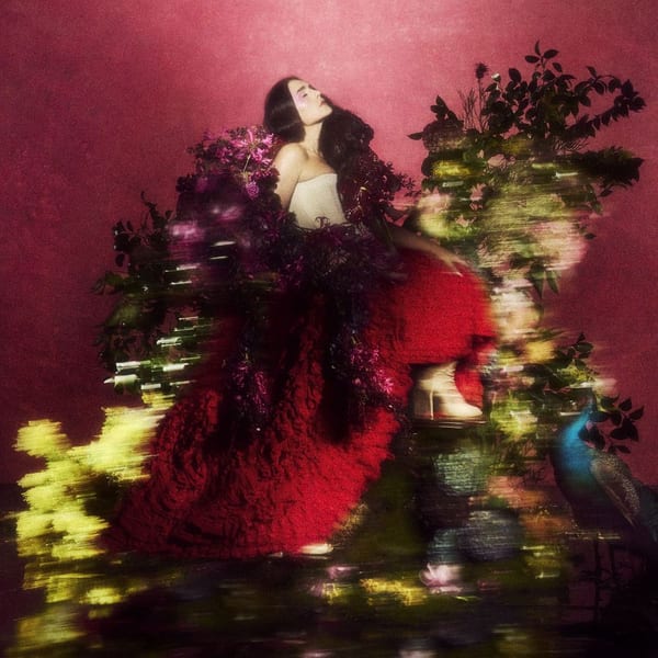 Superbloom cover
