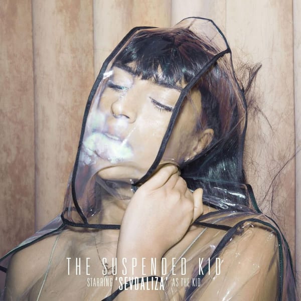 The Suspended Kid cover