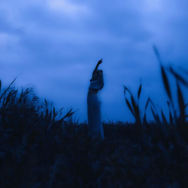 Dreamscape cover