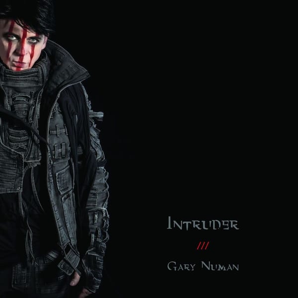 Intruder cover