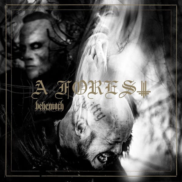 A Forest album cover