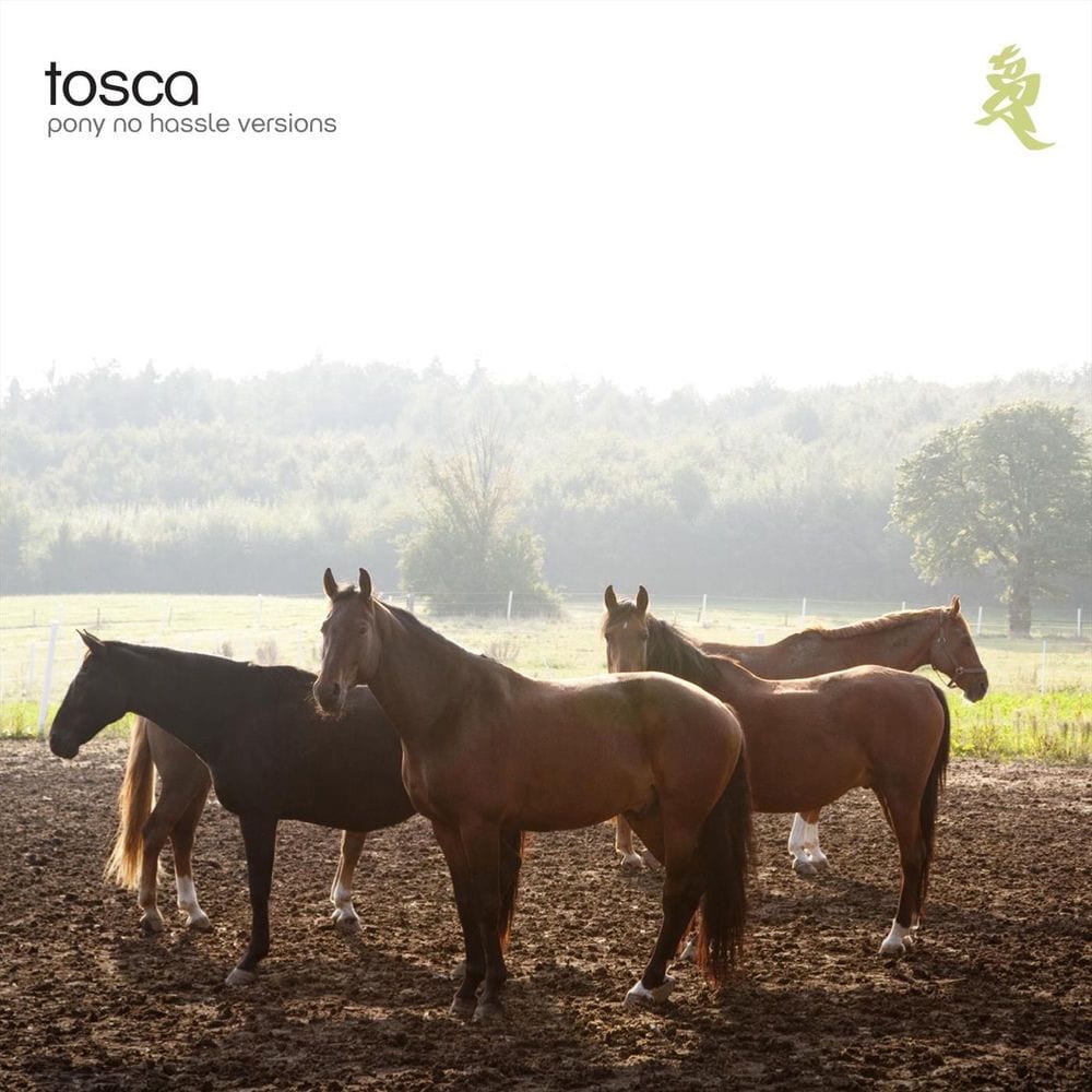 Pony - No Hassle Versions cover
