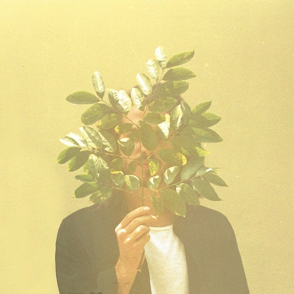 French Kiwi Juice cover
