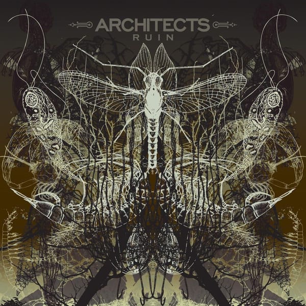 Ruin album cover