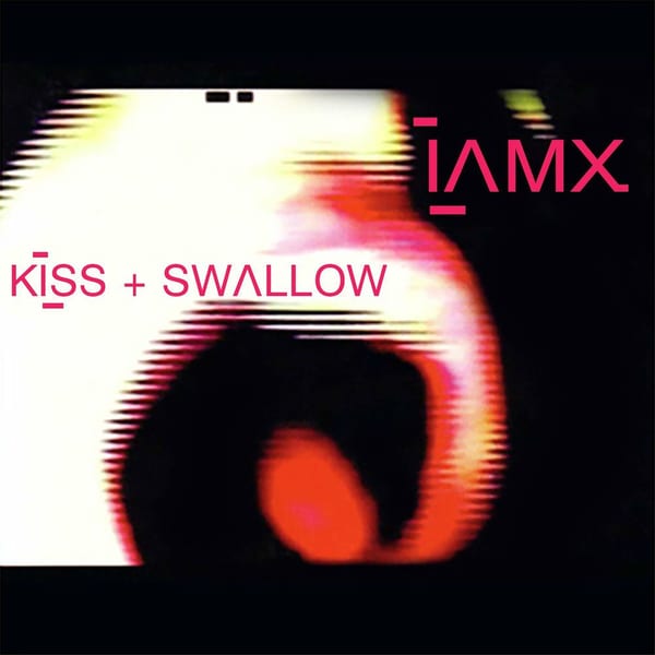 Kiss + Swallow cover