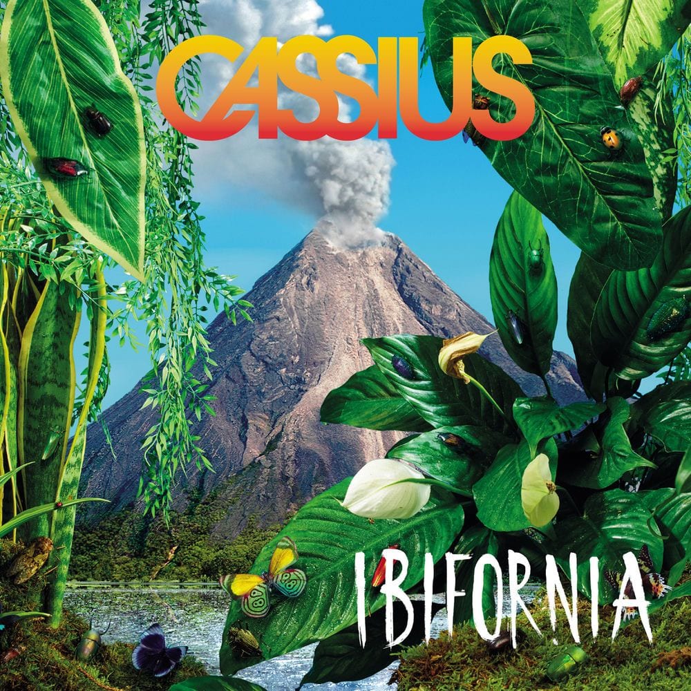 Ibifornia cover