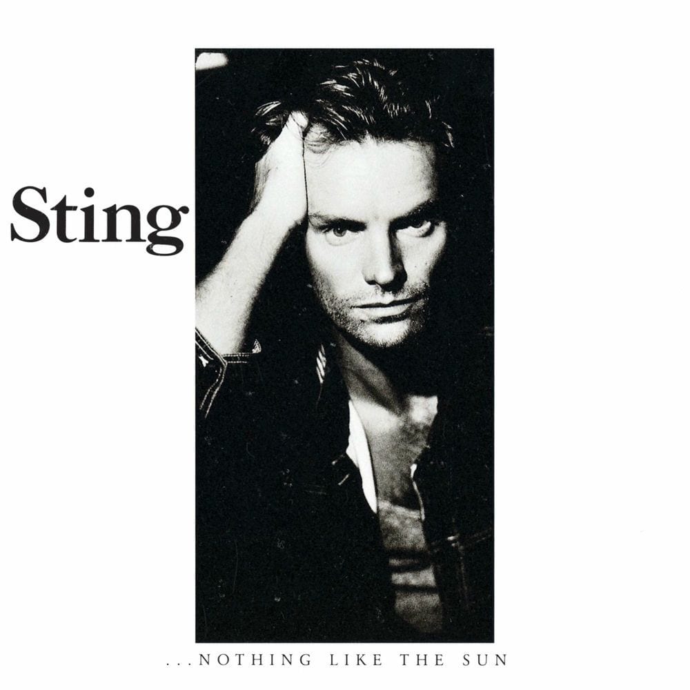 ...Nothing Like the Sun cover