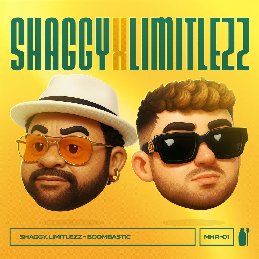 Boombastic cover