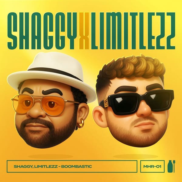 Boombastic cover