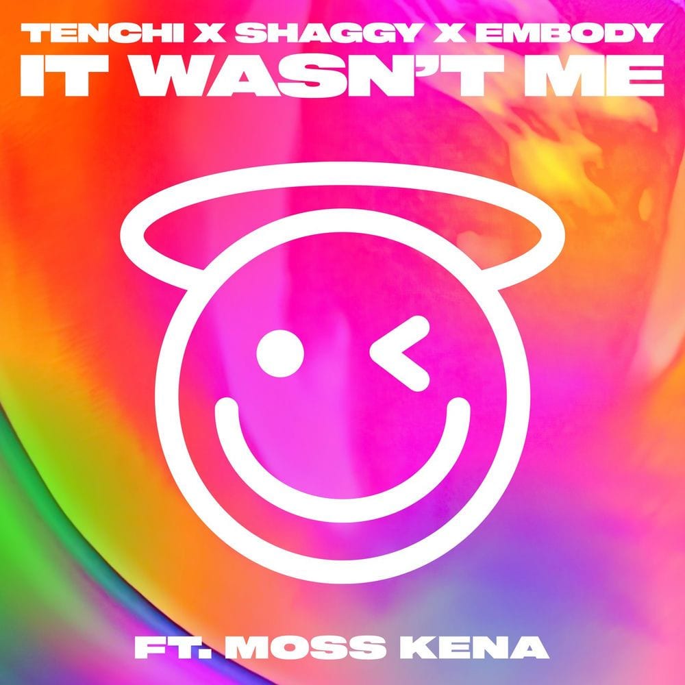 It Wasn't Me cover
