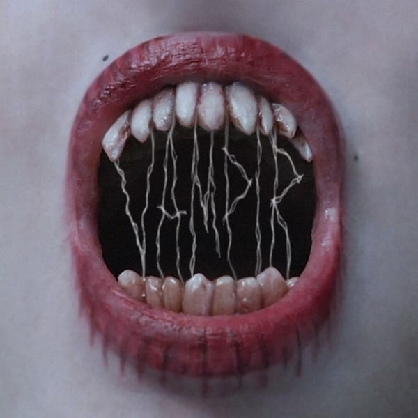 VAMPIR cover