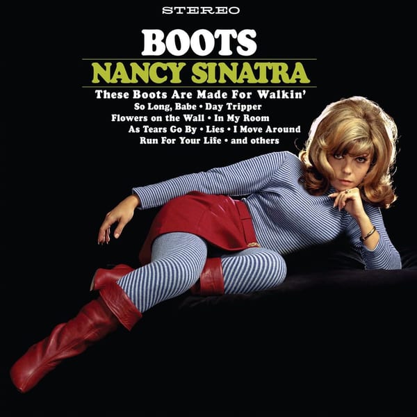 Boots cover