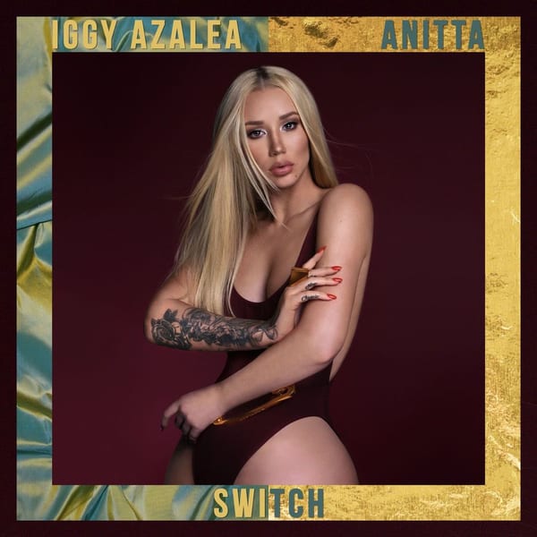 Switch cover