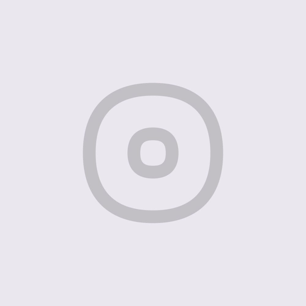 The Bridge cover