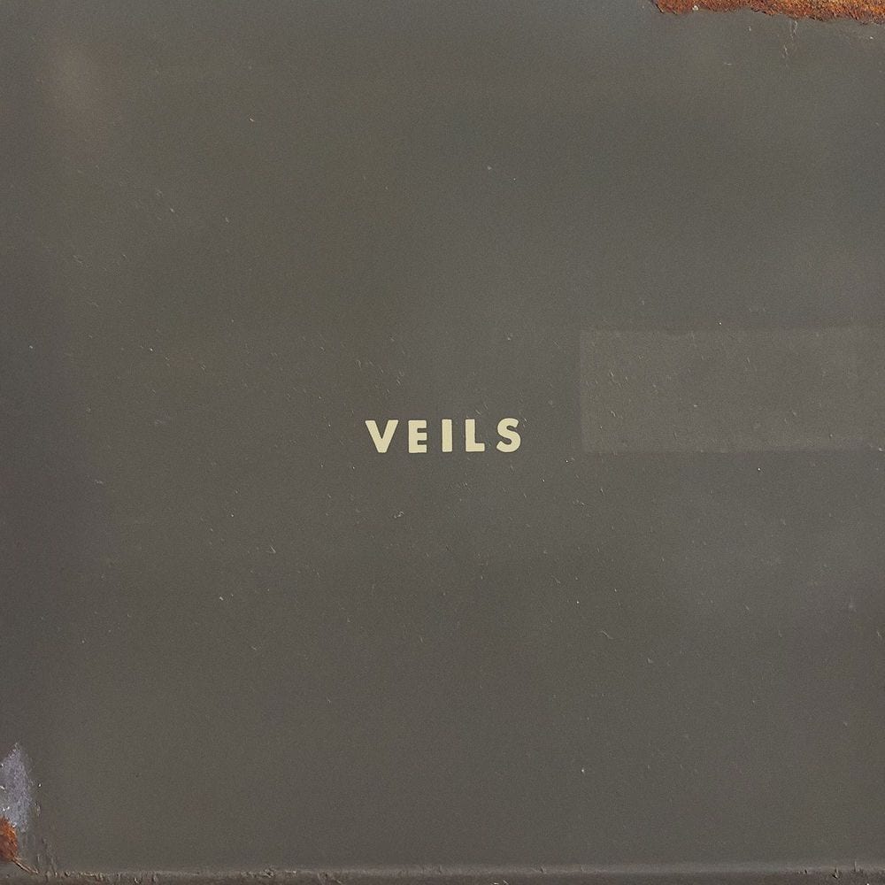Veils cover