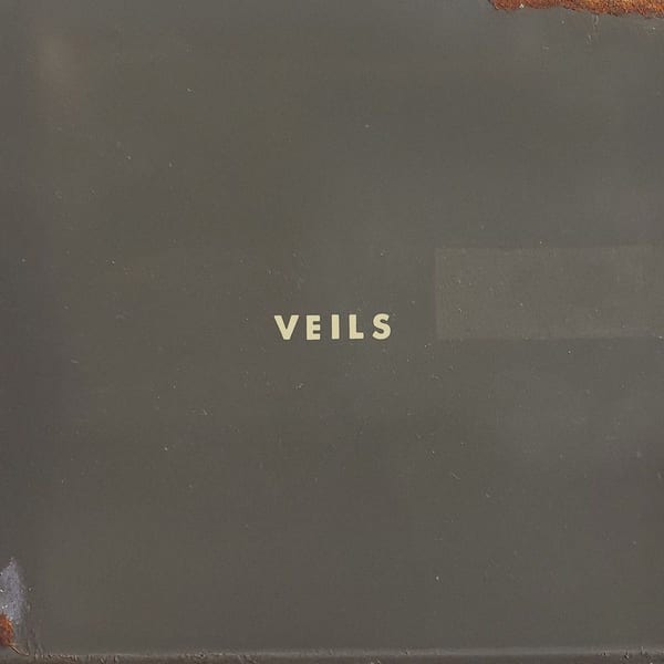 Veils cover