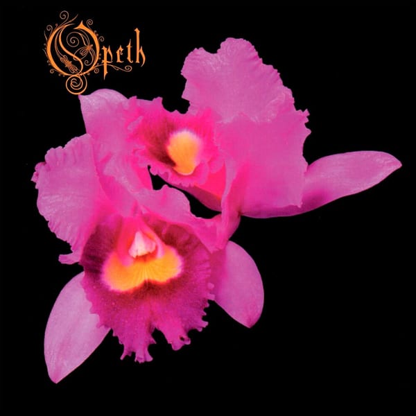 Orchid album cover
