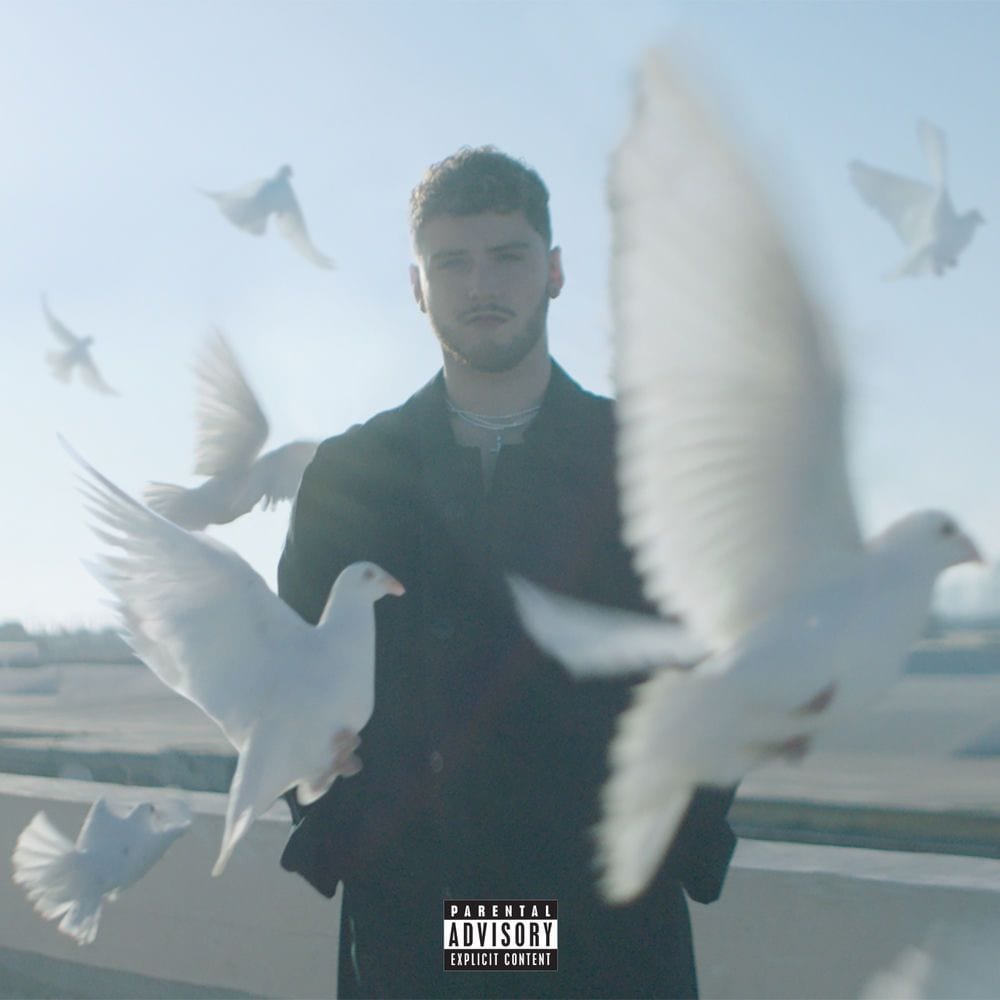 Soul Searching cover