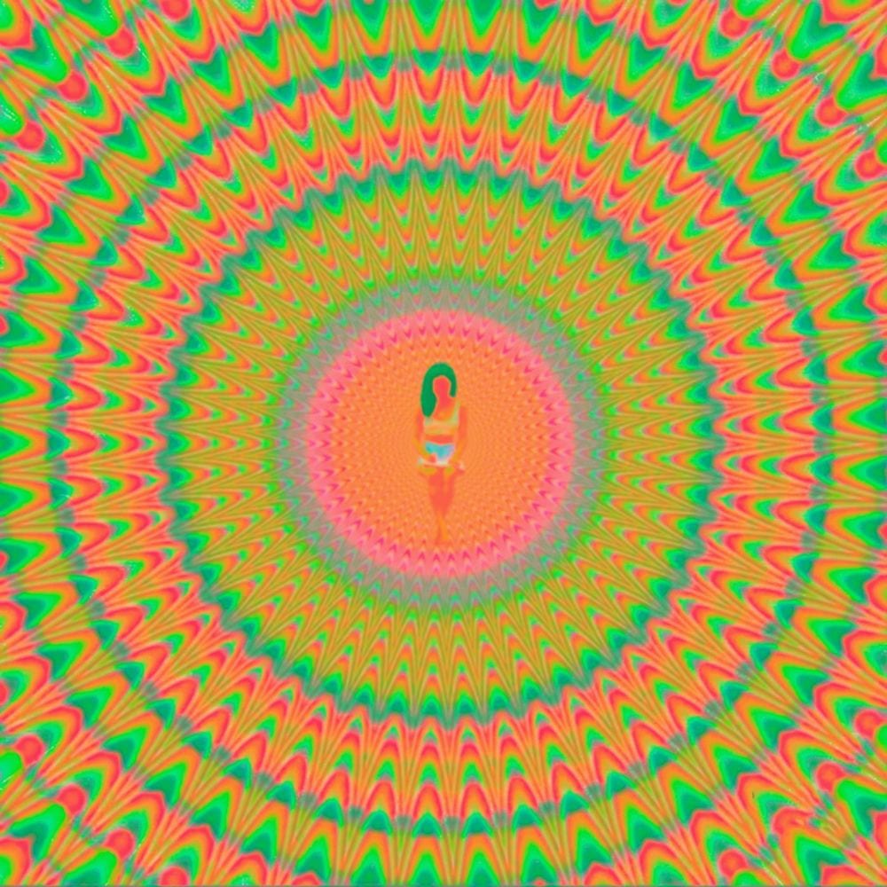 Trip cover