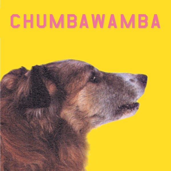 WYSIWYG cover