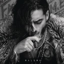 F.A.M.E. album cover
