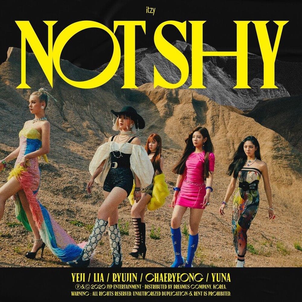 Not Shy cover