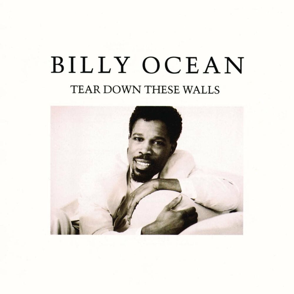 Tear Down These Walls cover