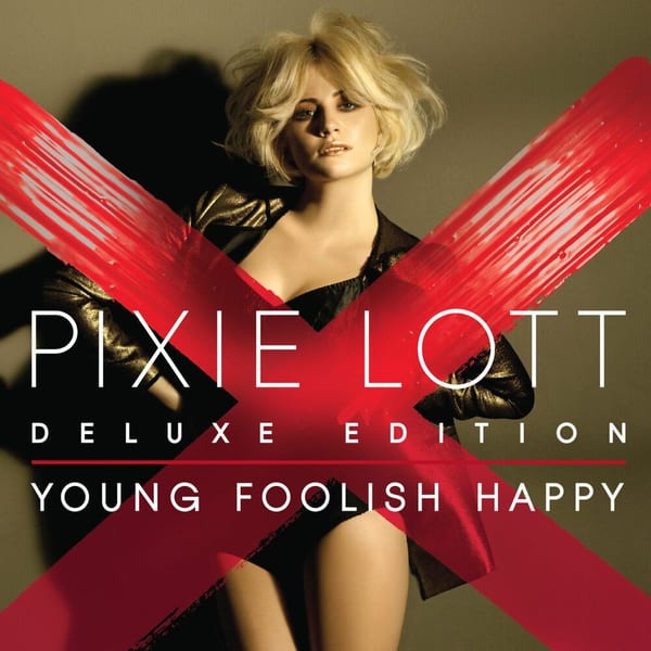 Young Foolish Happy cover