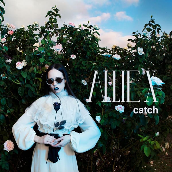 Catch cover