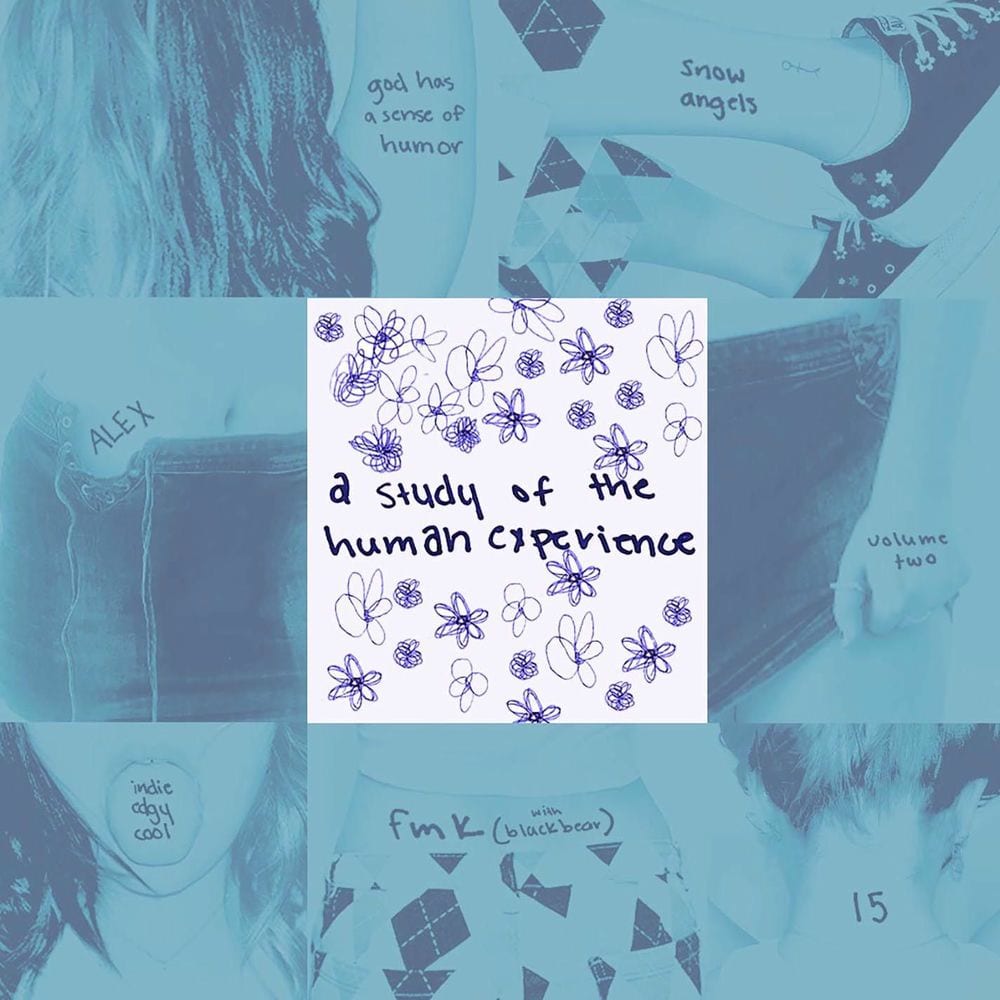 a study of the human experience, volume two cover