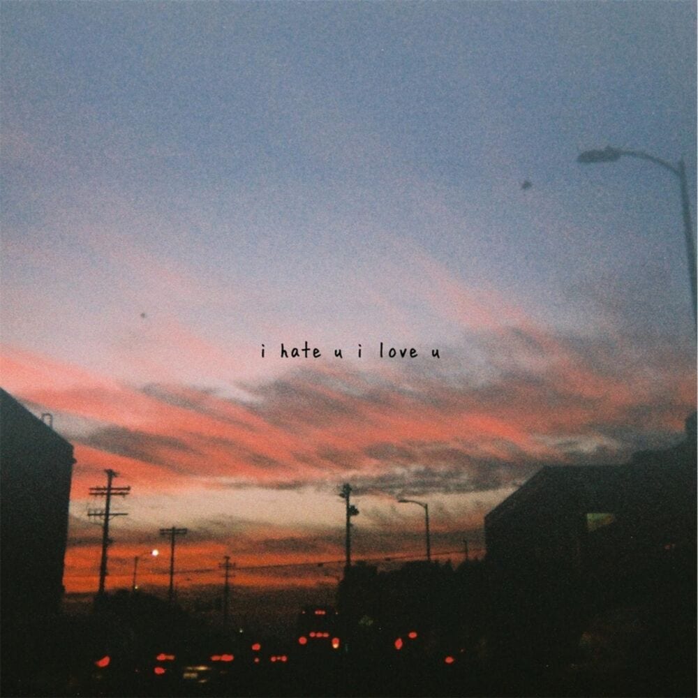 I Hate U, I Love U cover
