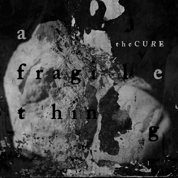 A Fragile Thing cover
