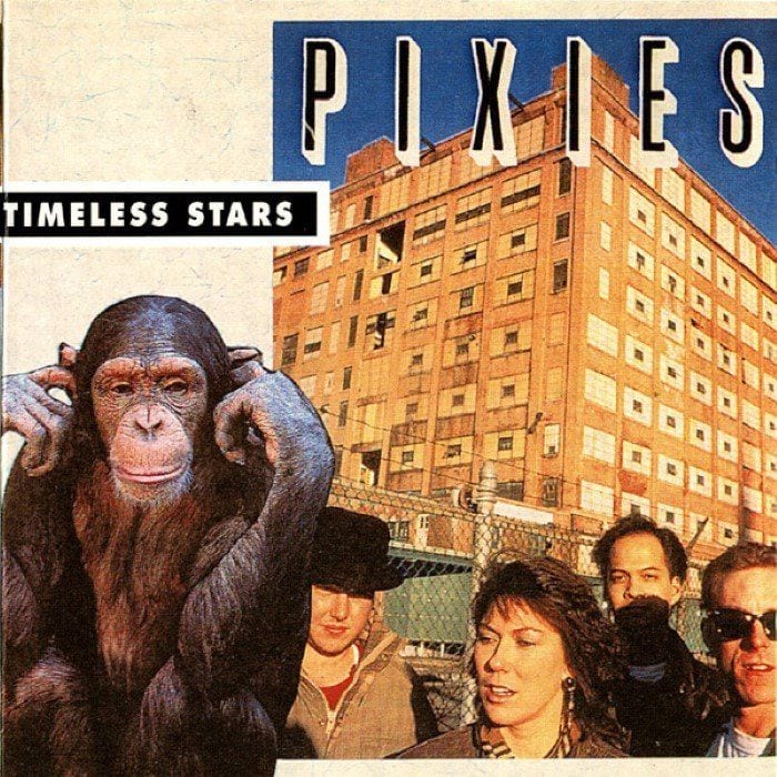 Cactus by Pixies