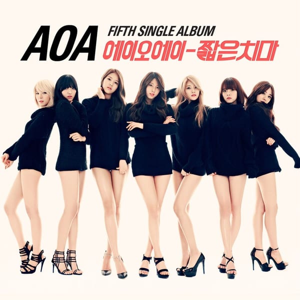 Miniskirt cover